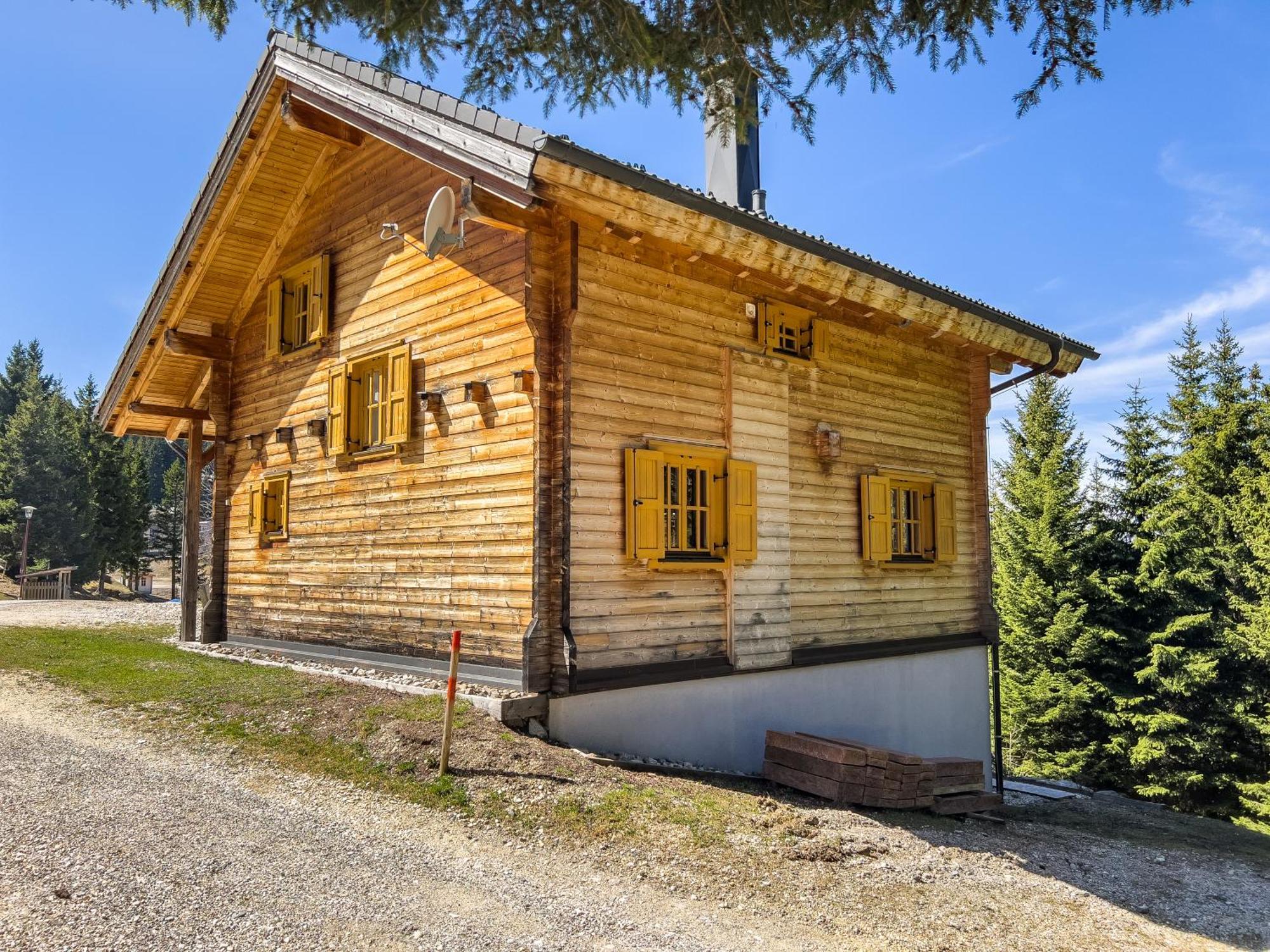 1A Chalet Enzianhuette - Ski Fahren Und Indoor Sauna Villa Elsenbrunn Exterior photo