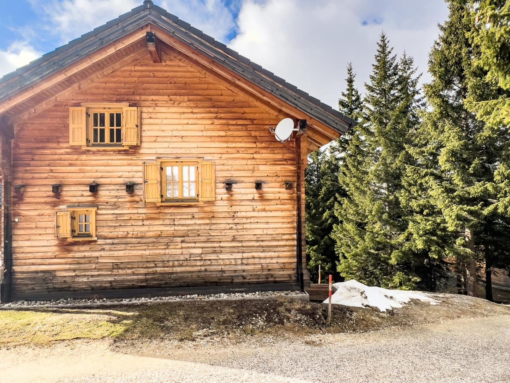 1A Chalet Enzianhuette - Ski Fahren Und Indoor Sauna Villa Elsenbrunn Exterior photo