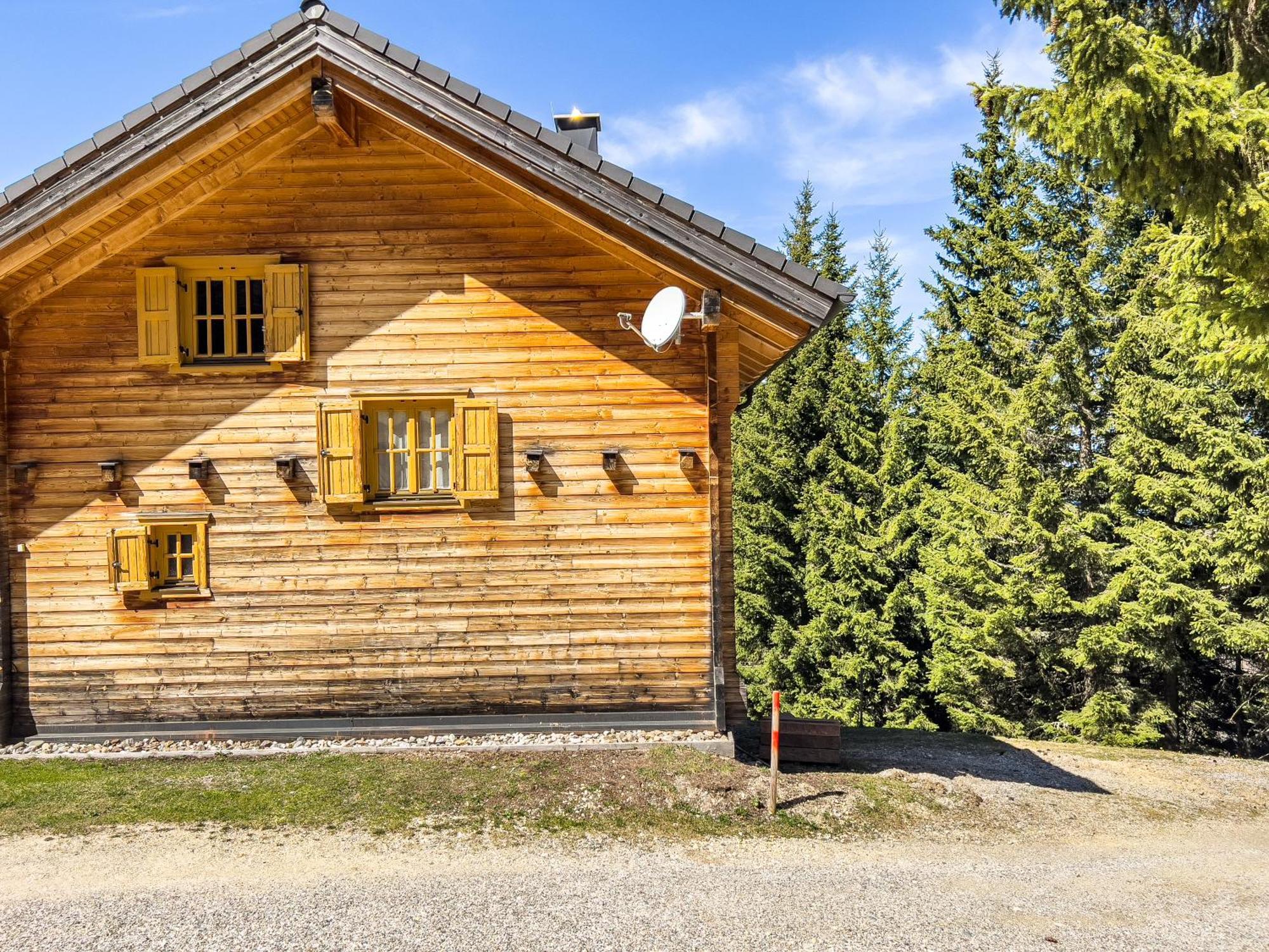 1A Chalet Enzianhuette - Ski Fahren Und Indoor Sauna Villa Elsenbrunn Exterior photo