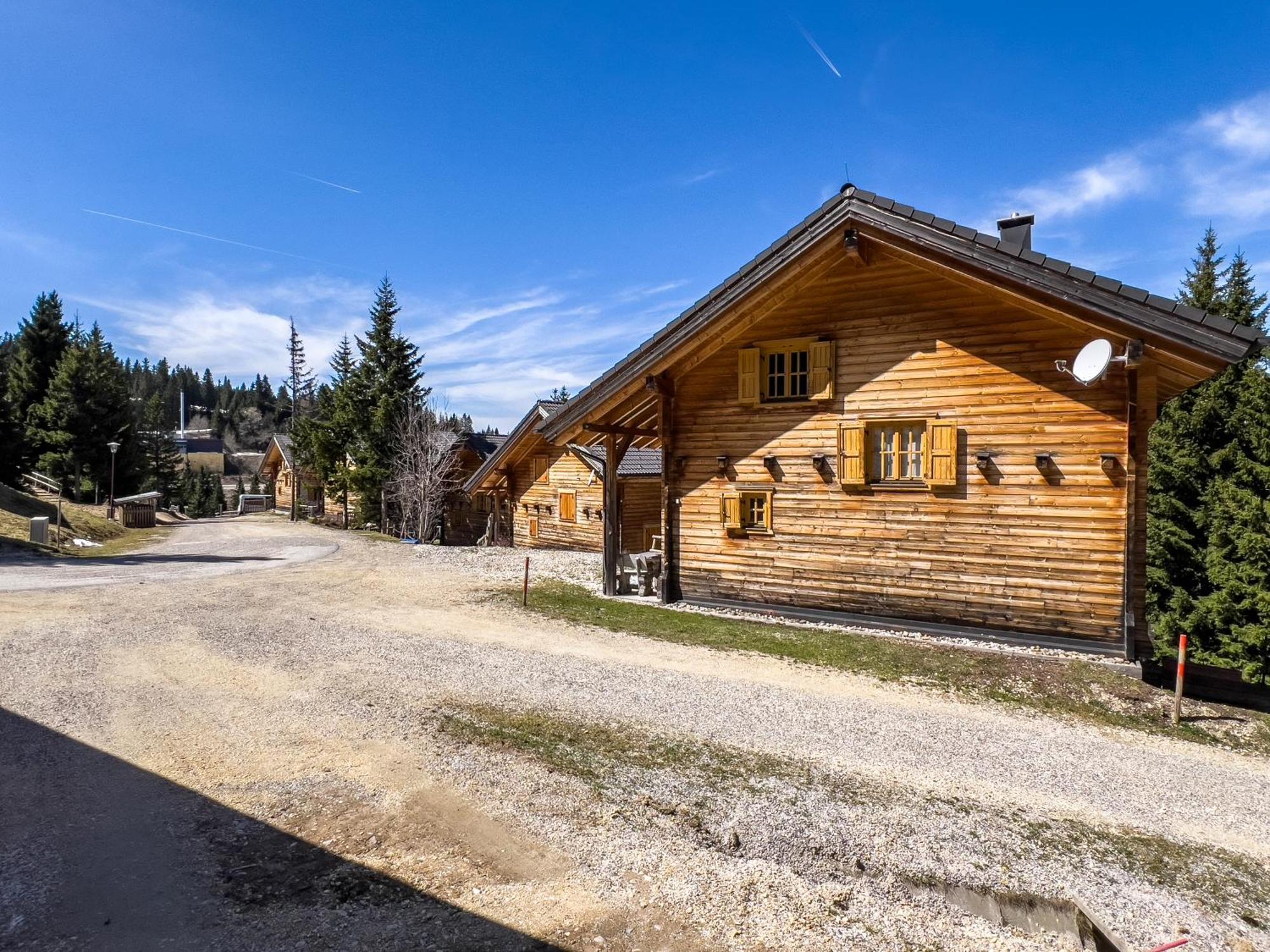 1A Chalet Enzianhuette - Ski Fahren Und Indoor Sauna Villa Elsenbrunn Exterior photo